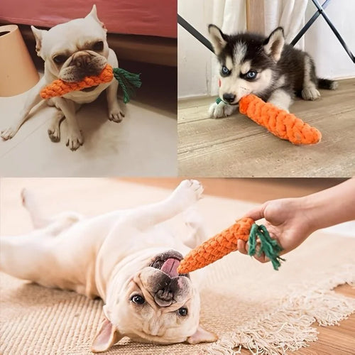 Carrot Rope Chew Toy