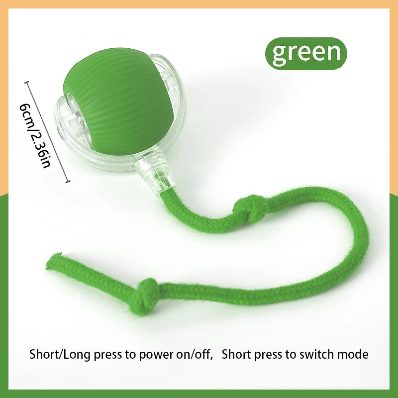 Smart Interactive Pet Ball