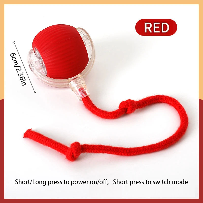 Smart Interactive Pet Ball