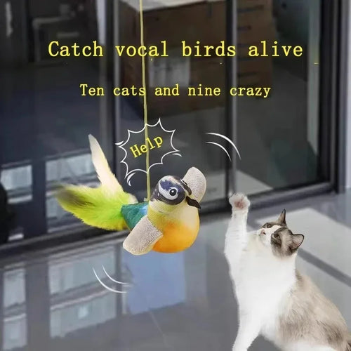 Bird Sound Cat Toy